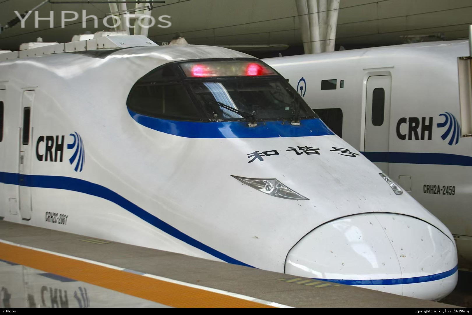 本站第一个动检