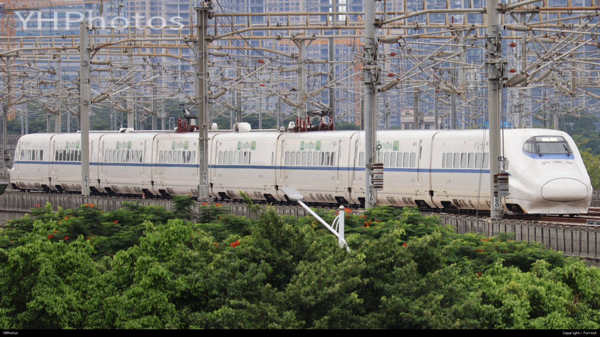 带鱼进入广州南站