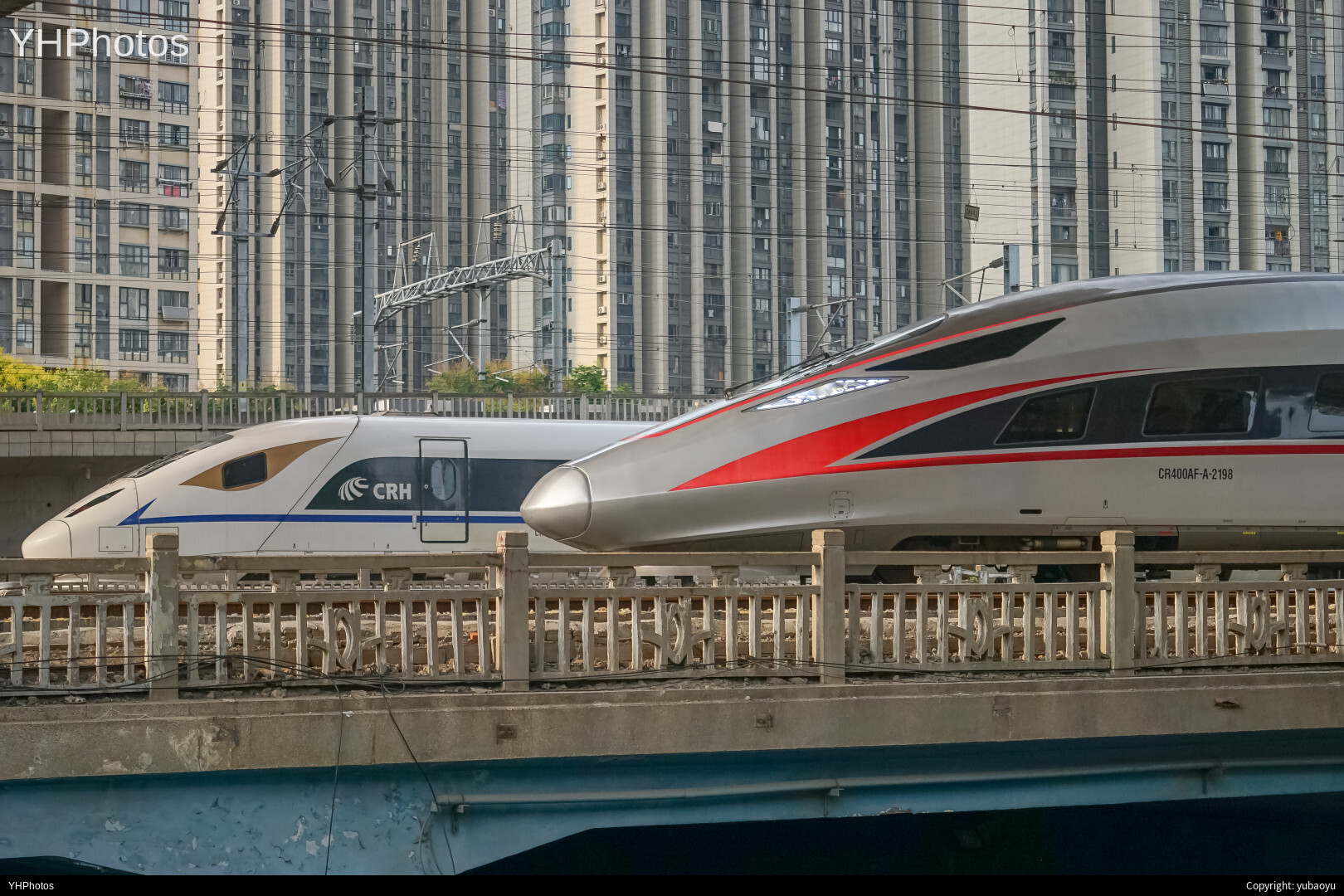 红神龙&amp;黄金眼