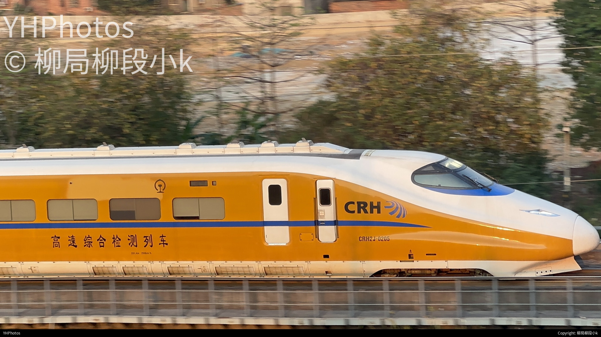 小黄鱼上大桥！