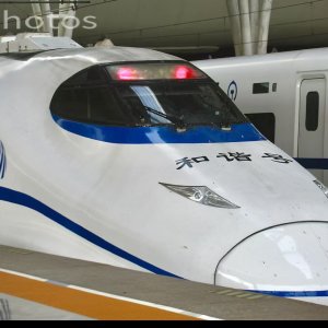 本站第一个动检